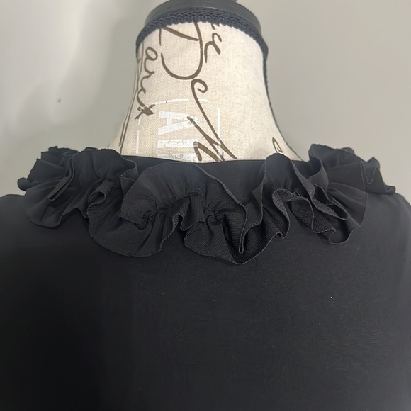 Tiana B. Sleeveless Black Dress - Petite Small | A11 - Picture 6 of 7